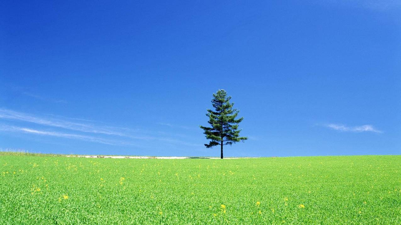 快手在线业务低价自助平台超低价-播放量快手是什么单位-dy业务24小时下单平台